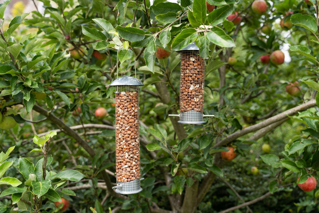 Heavy Duty Peanut Bird Feeder