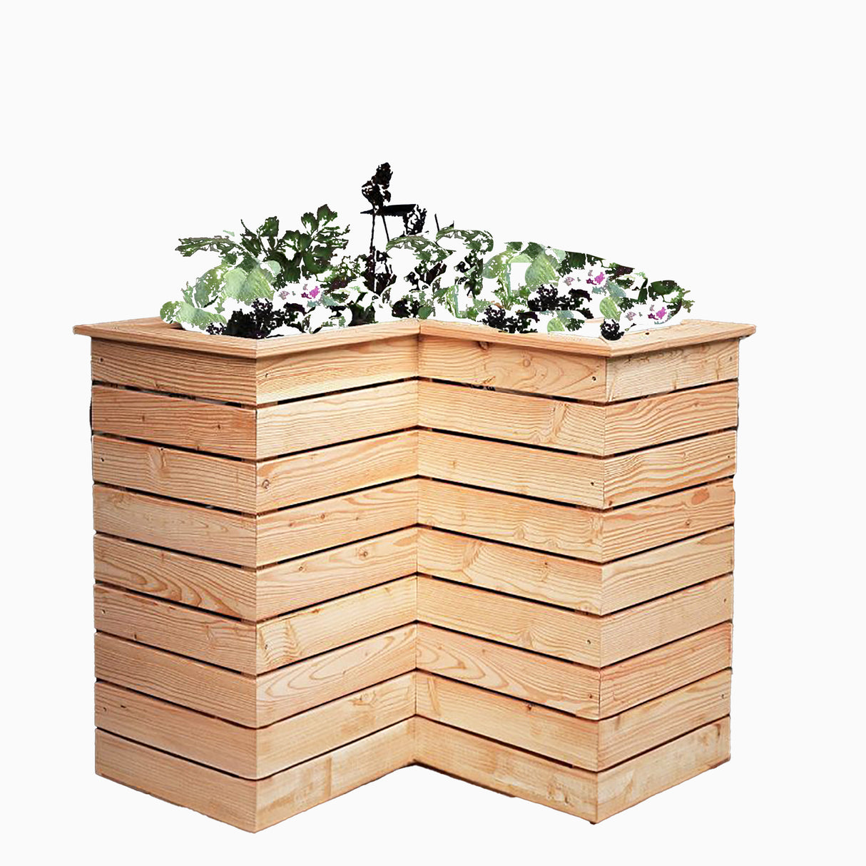 Shire Tina Larch Planter