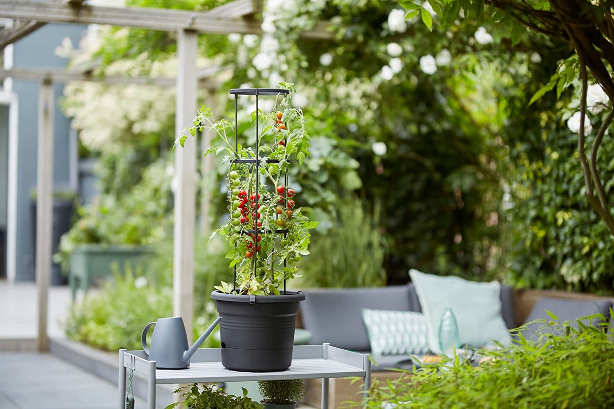 Green Basics Tomato Pot 33cm - Living Black