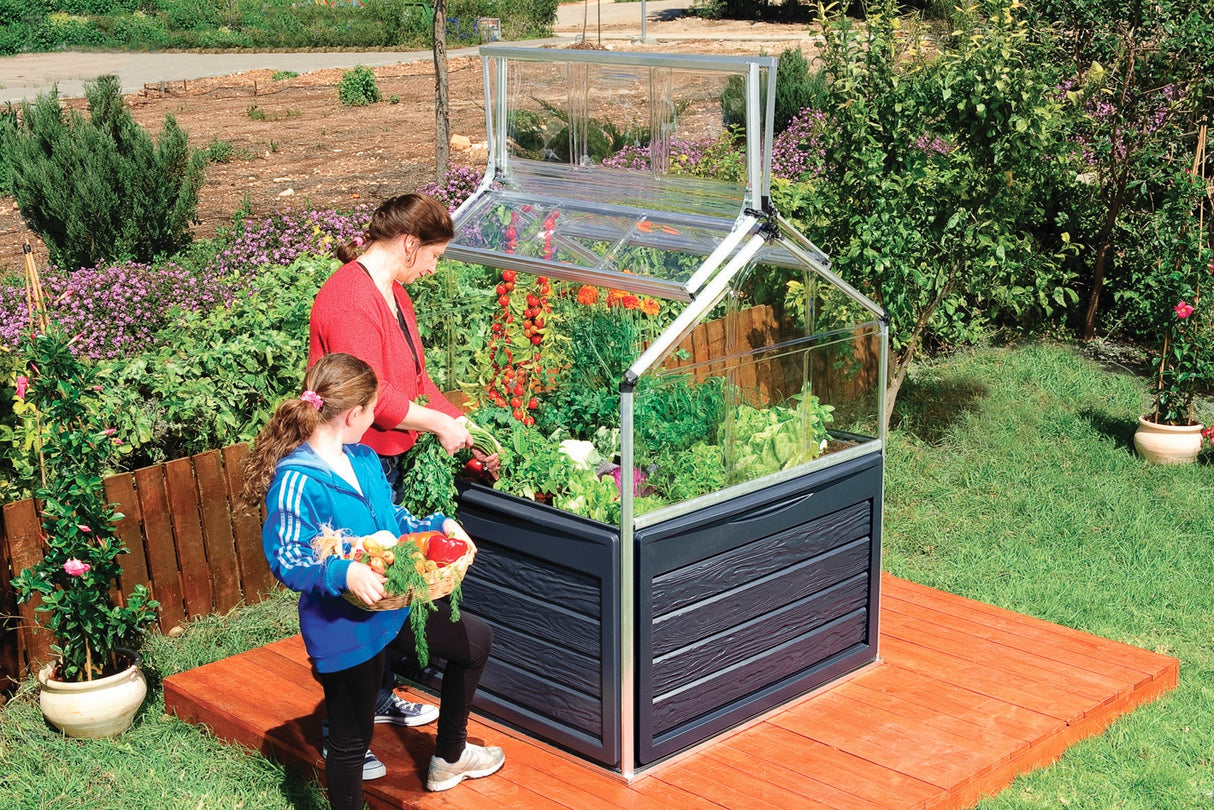 Plant Inn 4' x 4' Greenhouse - Silver Frame & Clear Polycarbonate Panels