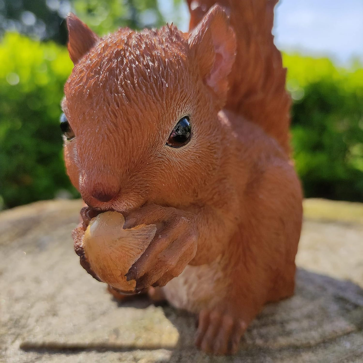 Baby Red Squirrel Garden Ornament