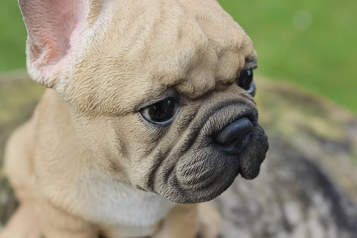 French Bulldog Puppy Pet Pals Garden Ornament