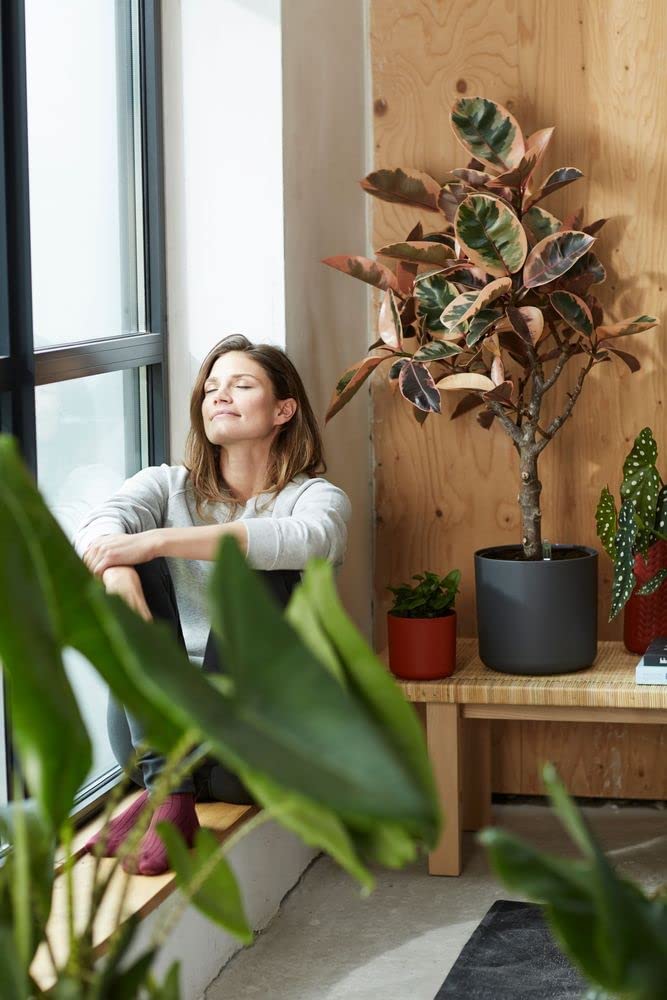 B.For Soft Round 16cm - Anthracite