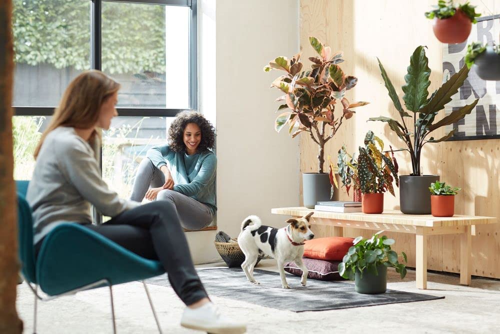 B.For Soft Round 14cm - Anthracite