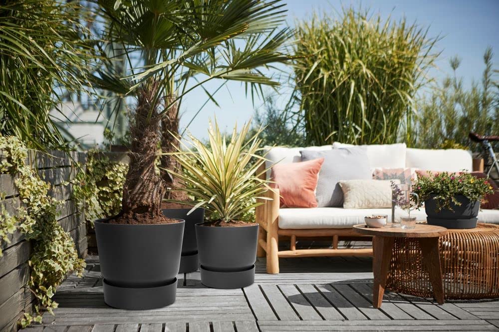 Greenville Round 30cm - Living Black