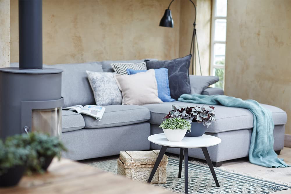 Brussels Oval 36cm - Anthracite