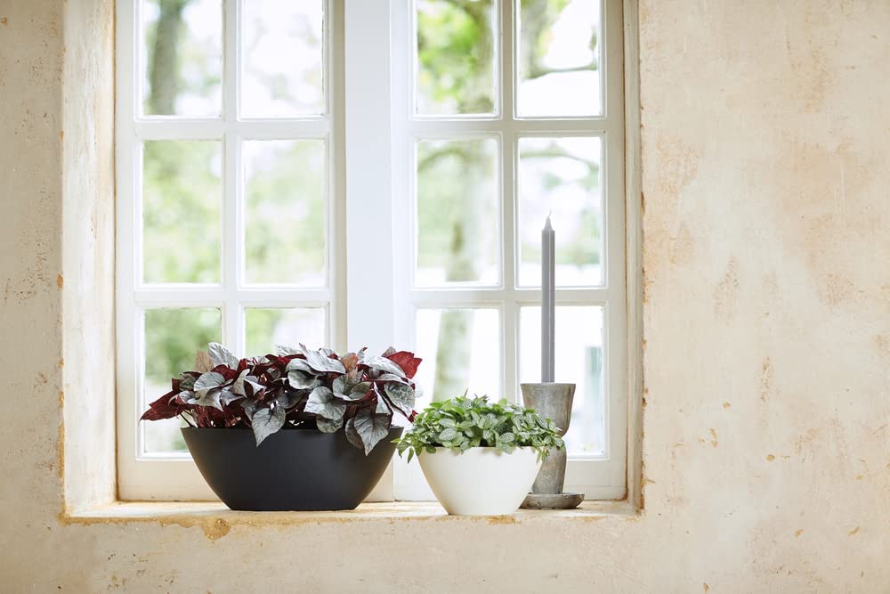 Brussels Oval 36cm - Anthracite