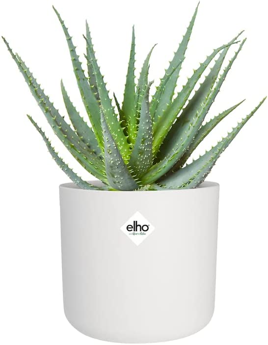 B.For Soft Round 22cm - White