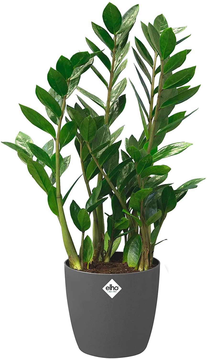 Brussels Round Wheels 40cm - Anthracite