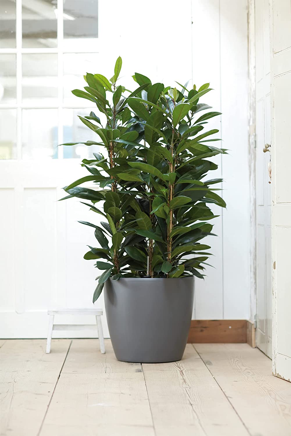 Brussels Round Wheels 40cm - Anthracite