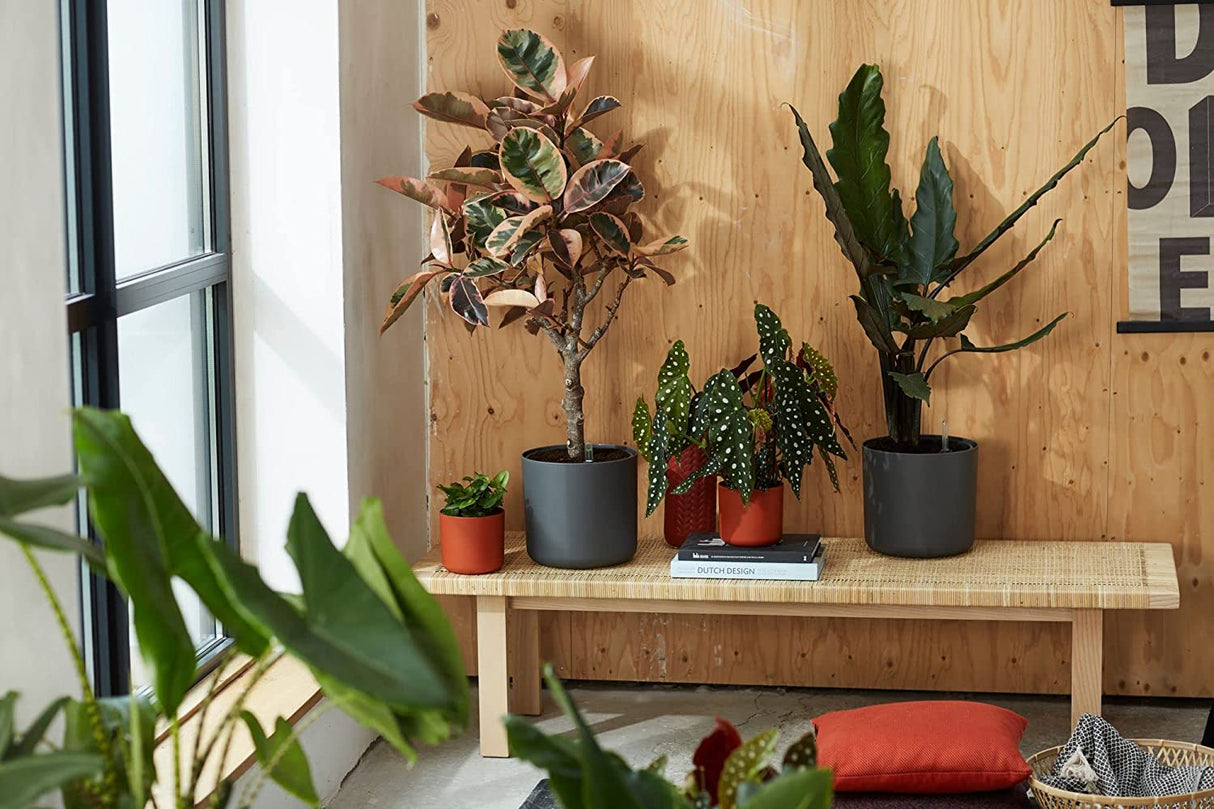 B.for Soft Round 35cm - Anthracite