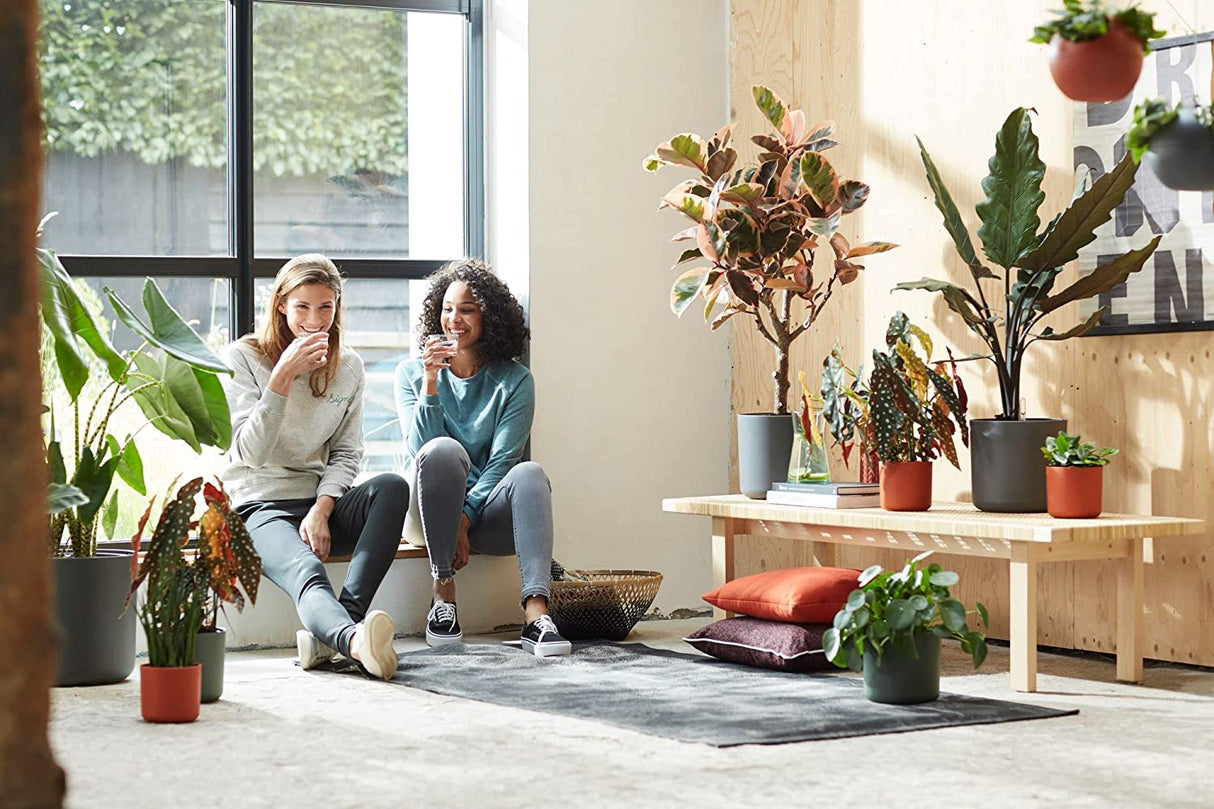 B.for Soft Round 30cm - Anthracite