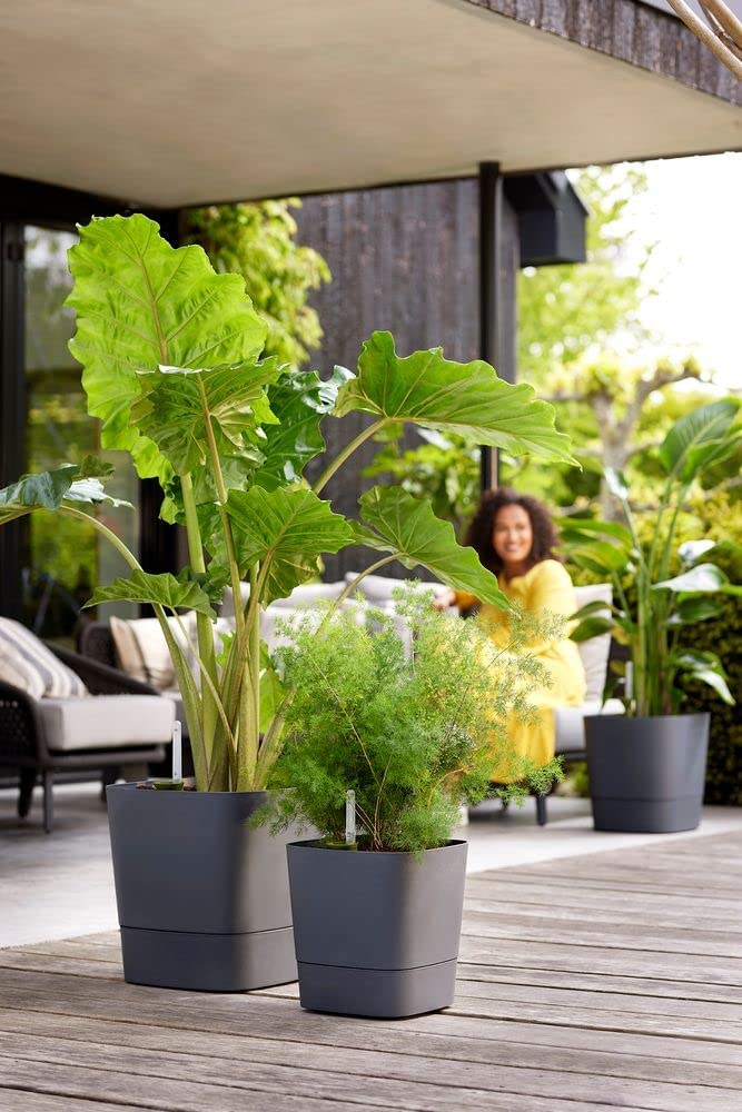 Greensense Aqua Care Square 38cm - Charcoal Grey