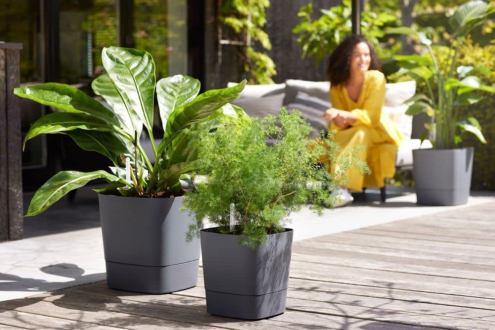 Greensense Aqua Care Square 30 cm - Charcoal Grey