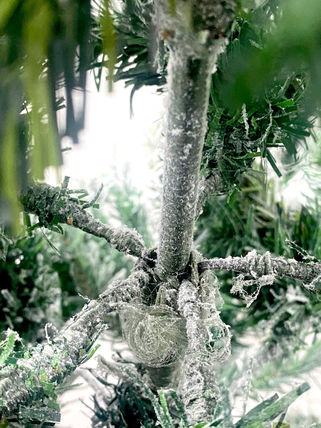 Half Parasol Christmas Tree Snowy Flocked 5ft/150cm