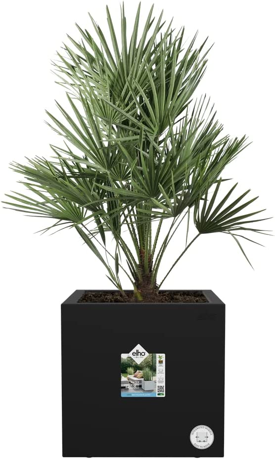 Vivo Next Square - 30cm - Living Black