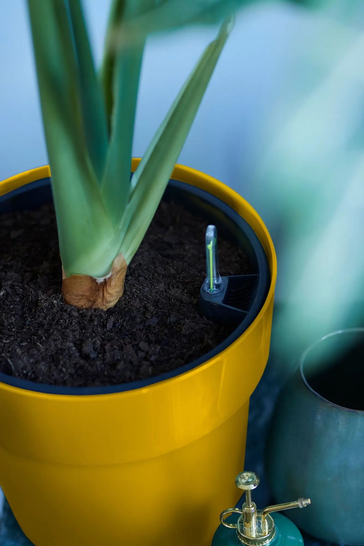 B.for Original Round 22cm - Ochre