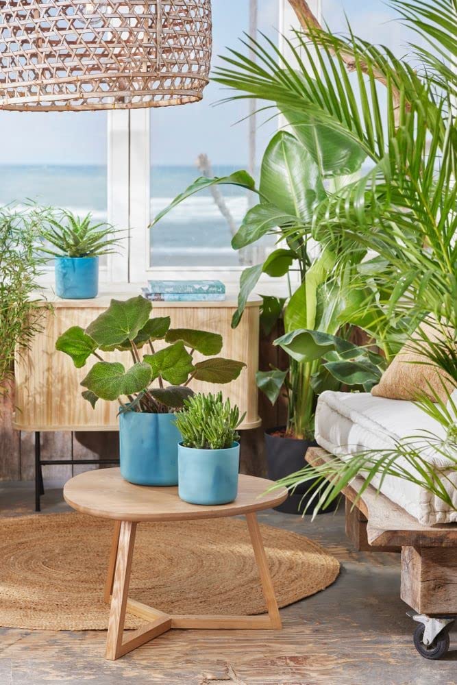 The Ocean Collection Round 14cm Atlantic Blue