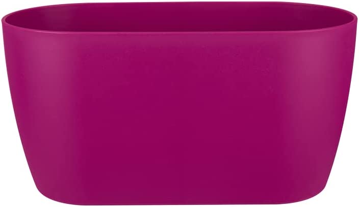 Brussels Orchid Duo 25cm - Cherry Red