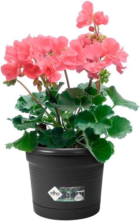 Green Basics All-in-1 Balcony Potholder - Living Black