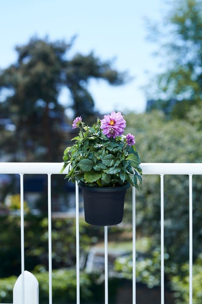 Green Basics All-in-1 Balcony Potholder - Living Black