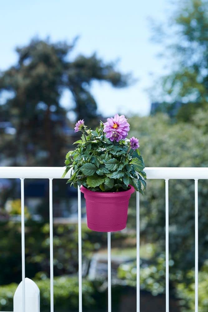 Green Basics All-in-1 Balcony Potholder - Cherry Red