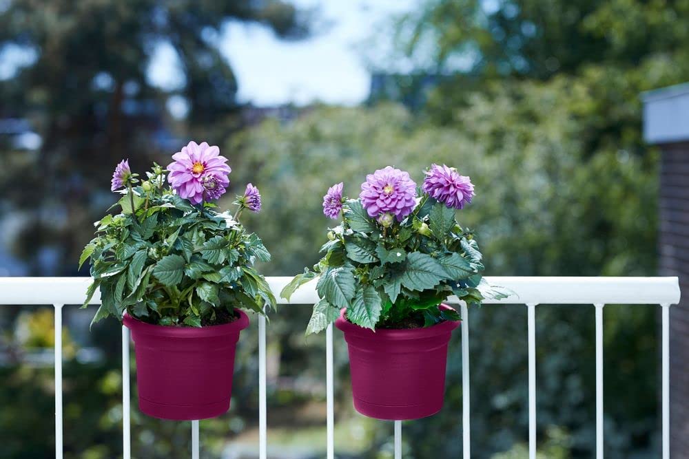 Green Basics All-in-1 Balcony Potholder - Cherry Red