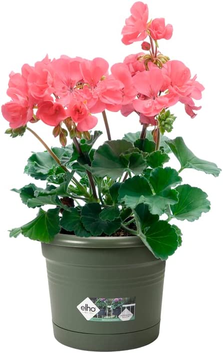 Green Basics All-in-1 Balcony Potholder - Leaf Green