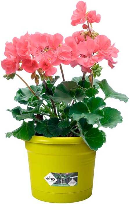 Green Basics All-in-1 Balcony Potholder - Lime Green