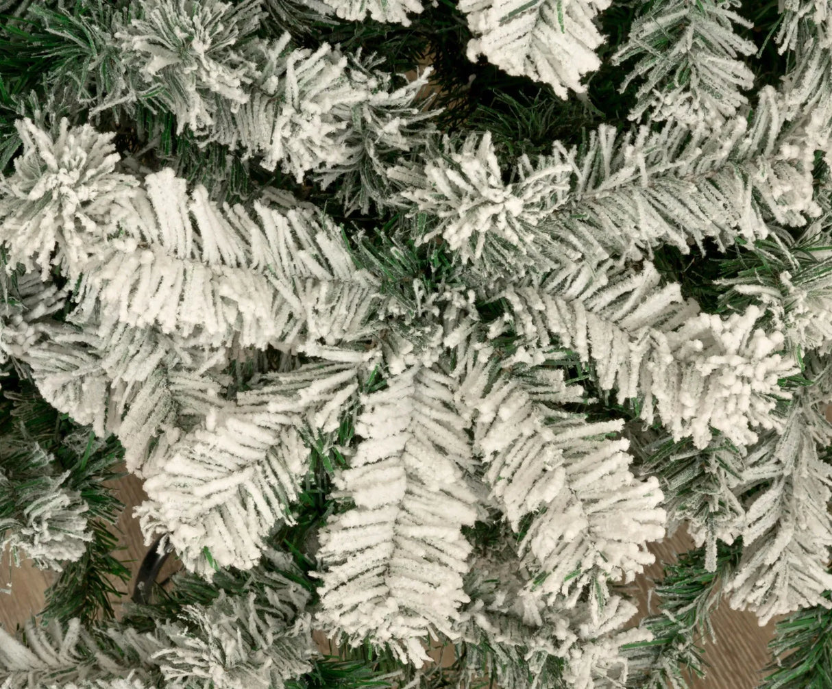 Colorado Spruce Christmas Tree Snow Flocked - 10ft/300cm