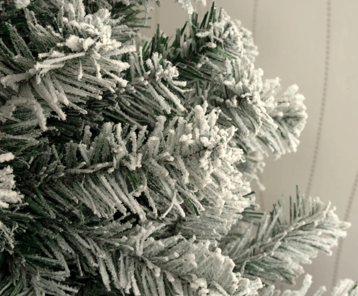 Colorado Spruce Christmas Tree Snow Flocked - 10ft/300cm