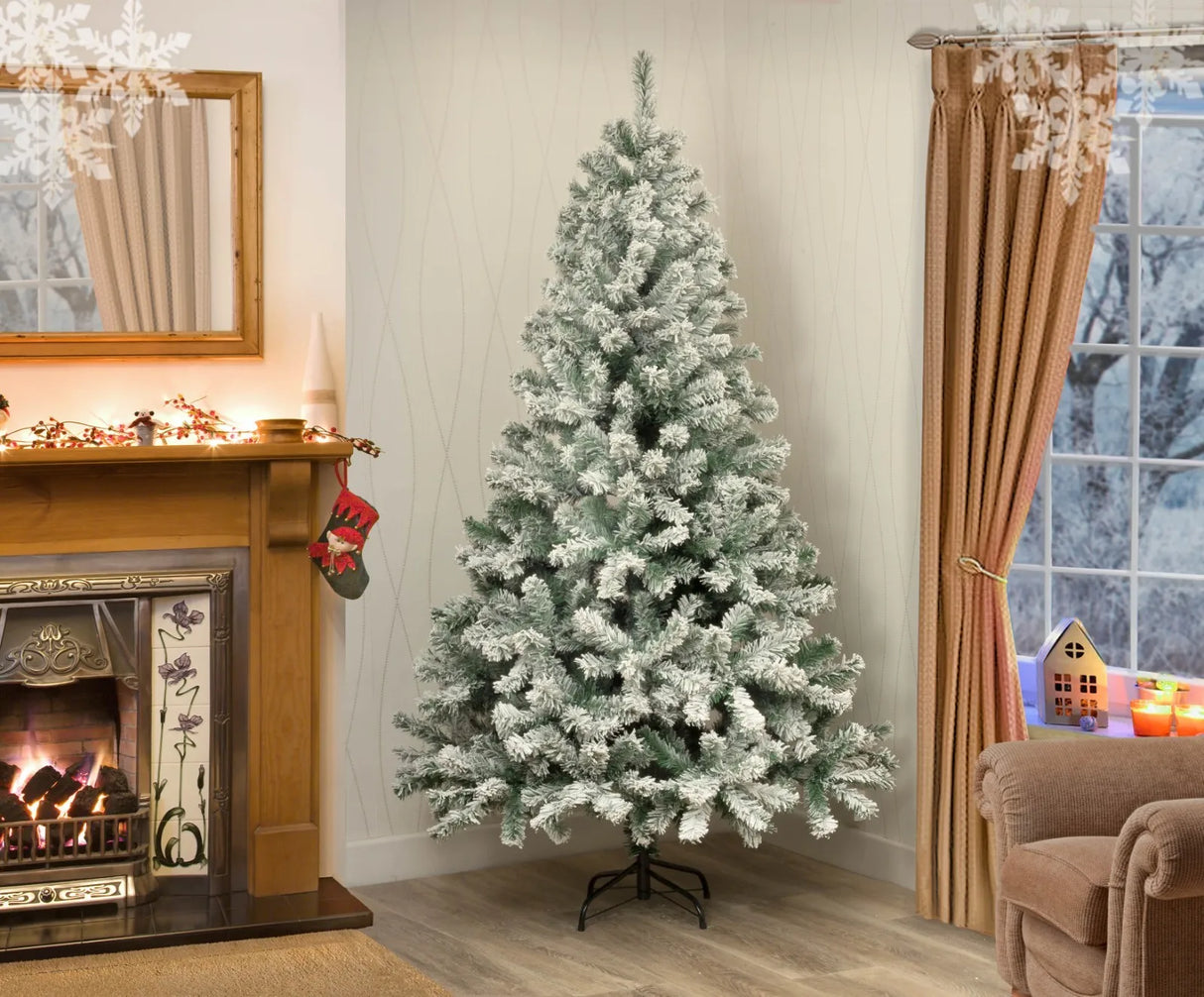 Colorado Spruce Christmas Tree Snow Flocked - 10ft/300cm