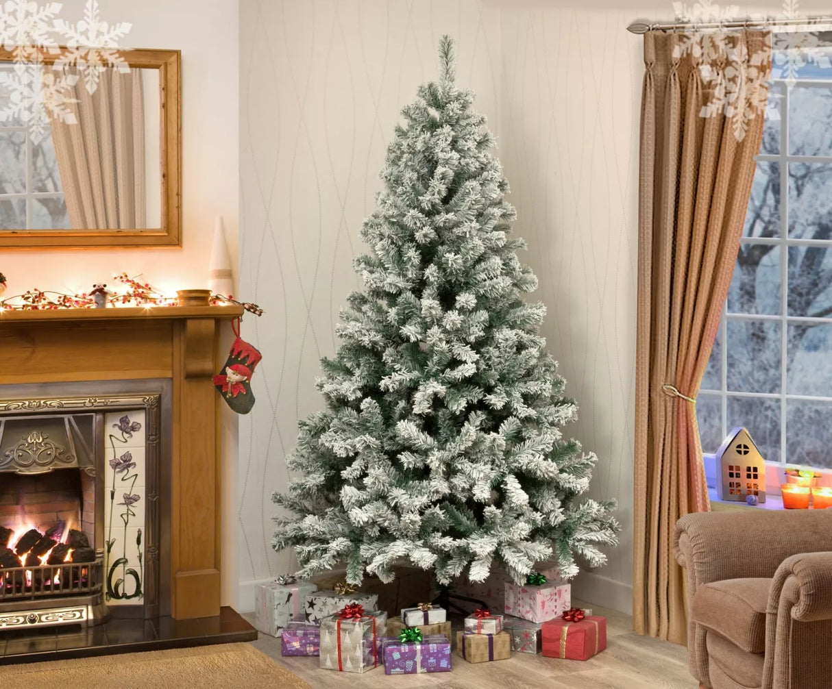 Colorado Spruce Christmas Tree Snow Flocked - 10ft/300cm