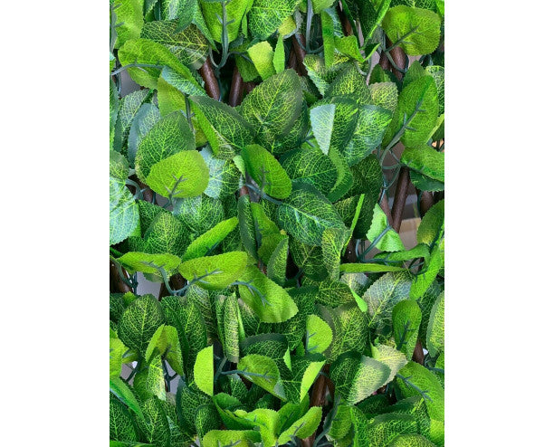 0.6m x 1.8m Laurel Leaf - Medium