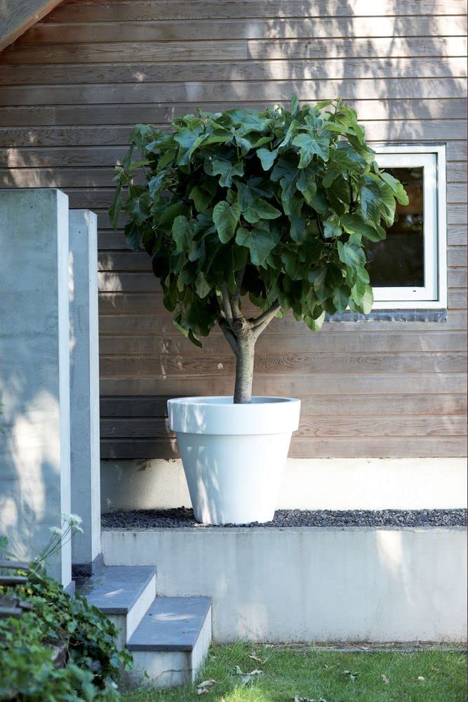 Pure Round 100cm - White