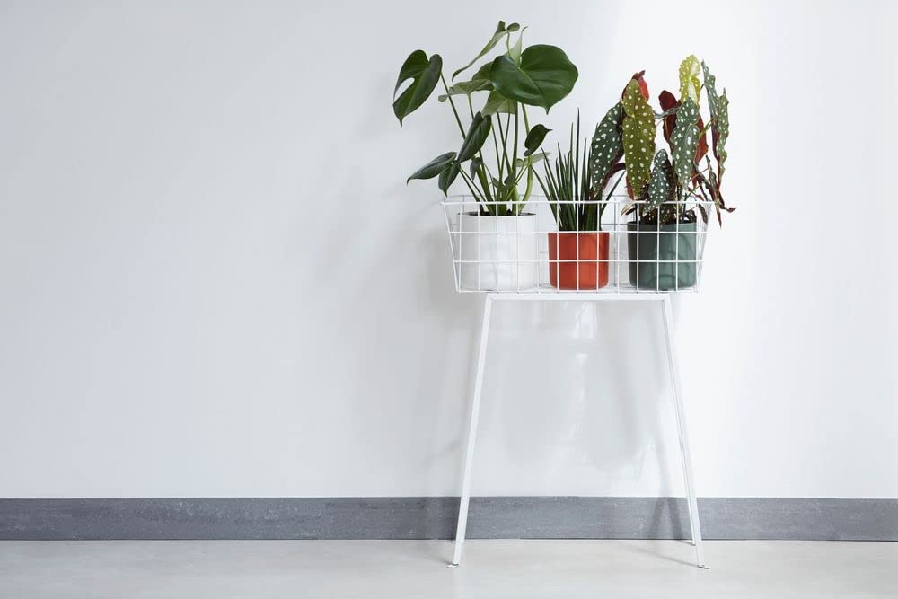 B.For Soft Round 14cm - White