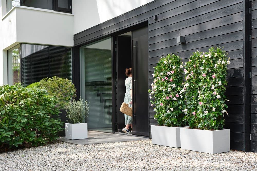 Vivo Next Long- 80cm - White