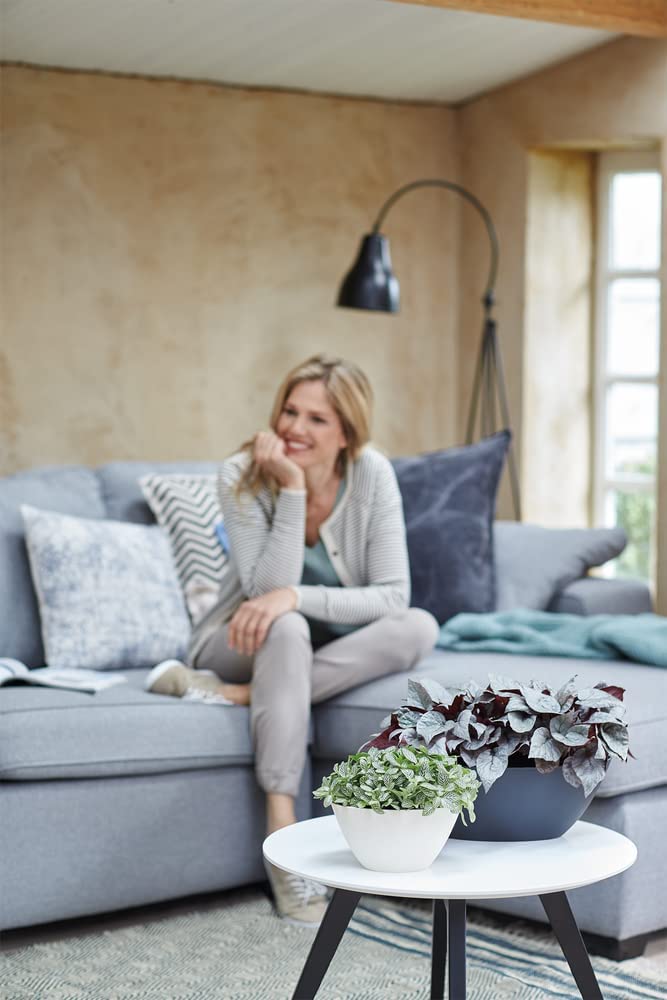 Brussels Oval 36cm - White