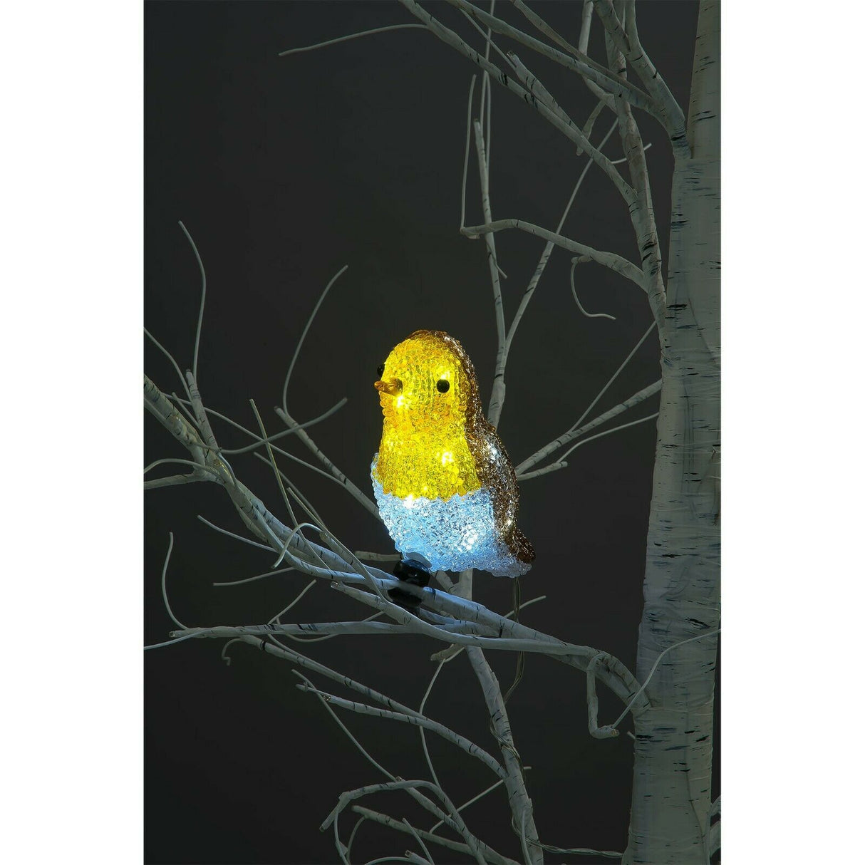18cm LED Clip On Acrylic Robin Light