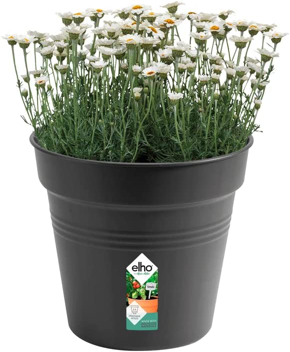Green Basics Grow Pot 30cm - Living Black