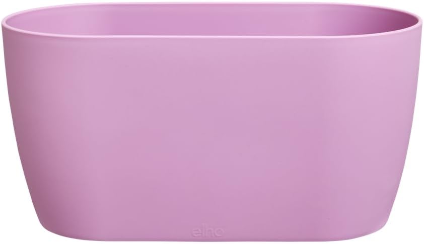 Brussels Orchid Duo 25cm - Vivid Violet