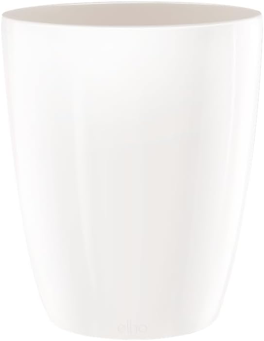 Brussels Diamond Orchid High 12.5cm - White