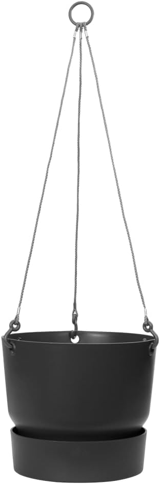 Greenville 24cm Hanging Basket Living Black
