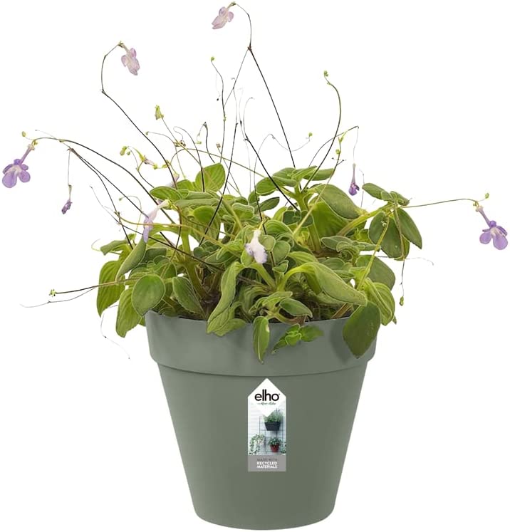 Loft Urban Green Wall Pot Single 15cm - Pistachio Green