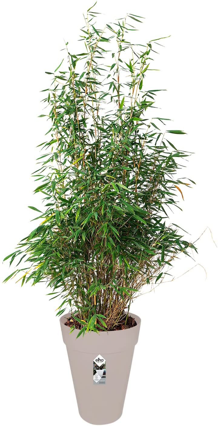 Loft Urban Round High 42cm - Warm Grey