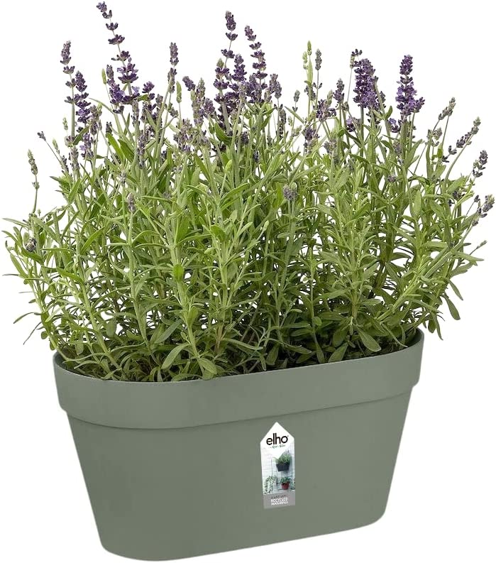 Loft Urban Green Wall Pot Duo 28cm - Pistachio Green