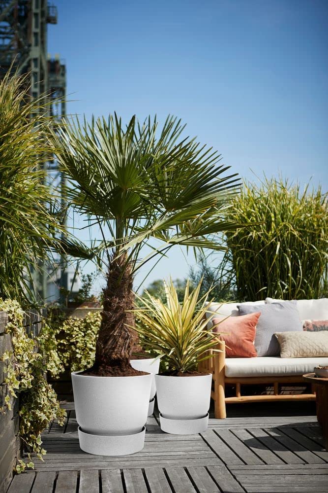 Greenville Round 25cm - Living Concrete