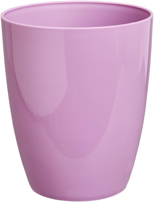 Brussels Diamond Orchid High 12.5cm - Vivid Violet