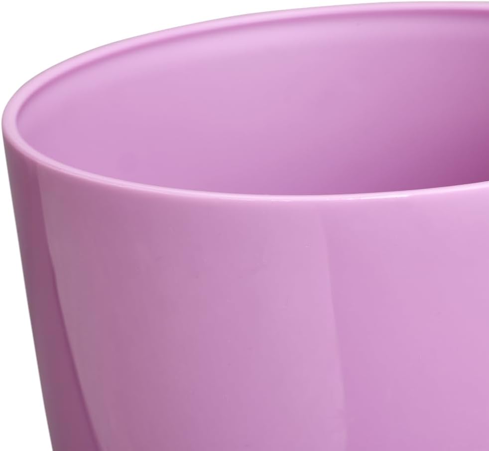 Brussels Diamond Orchid High 12.5cm - Vivid Violet