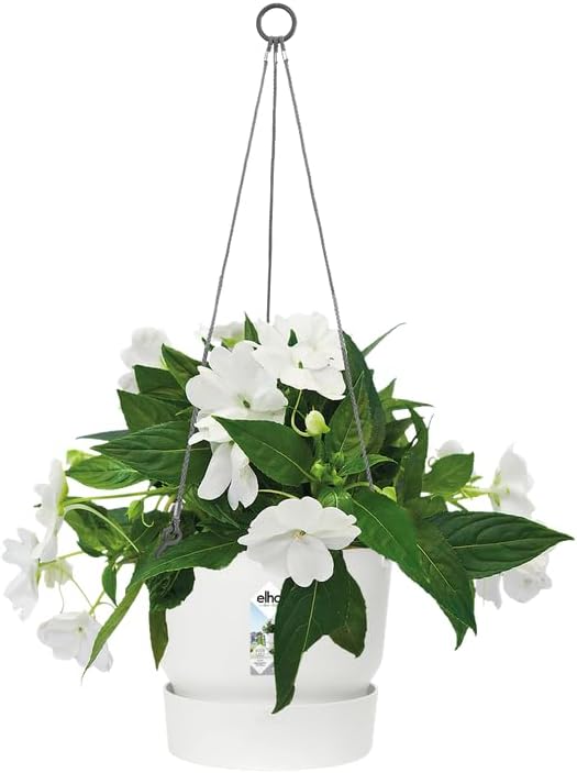 Greenville 24cm Hanging Basket White